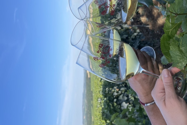 Balade des Grands Crus en e-Mehari et dégustation de Chablis - Exploregion