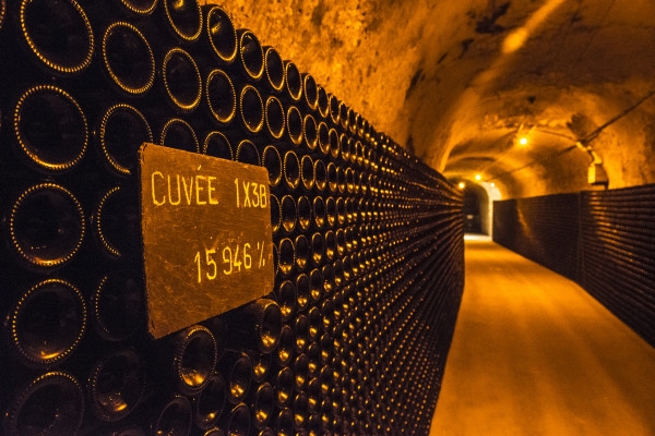 Guided Tour & Léonie Iconic Tasting - Exploregion