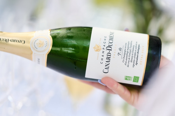 Guided Tour & Léonie Iconic Tasting - Exploregion