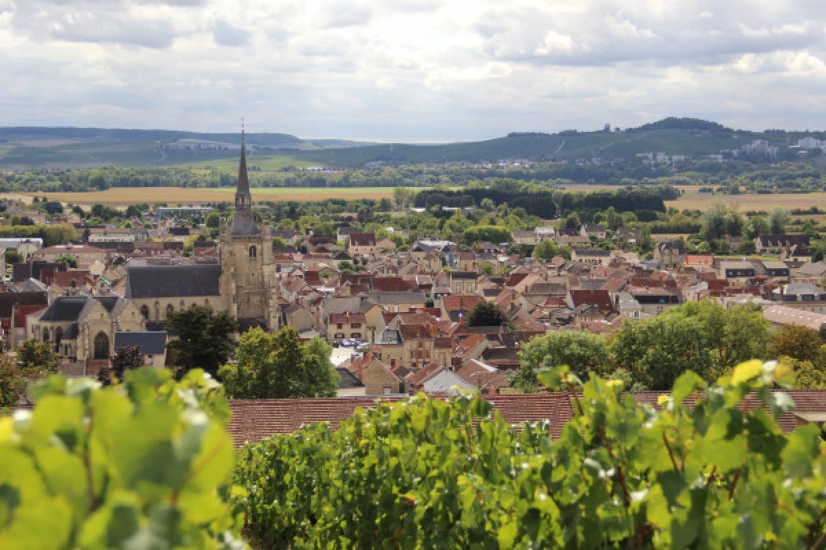 Visite guidée d'Aÿ-Champagne "Petite cité de caractère" - Exploregion