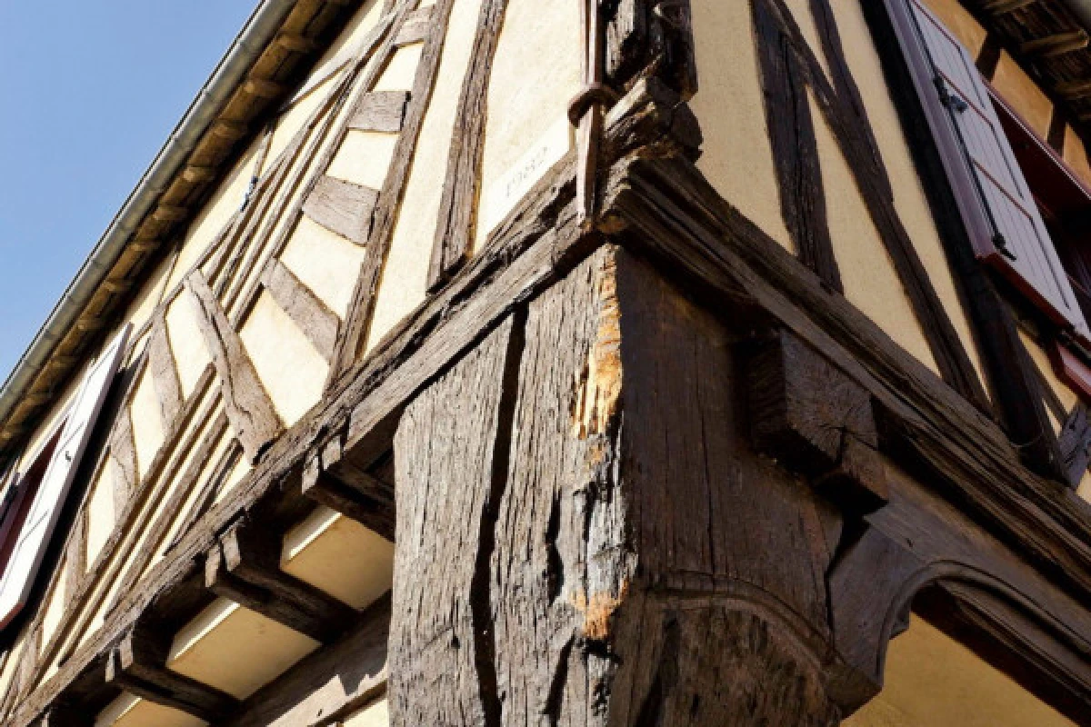 Visite guidée d'Aÿ-Champagne "Petite cité de caractère" - Exploregion