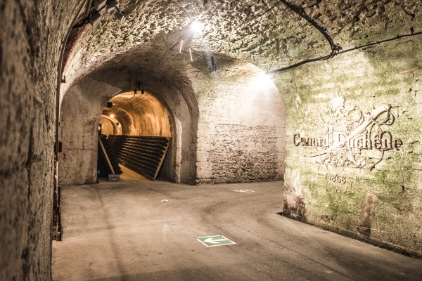 Guided Tour & Sabrage Experience - Exploregion