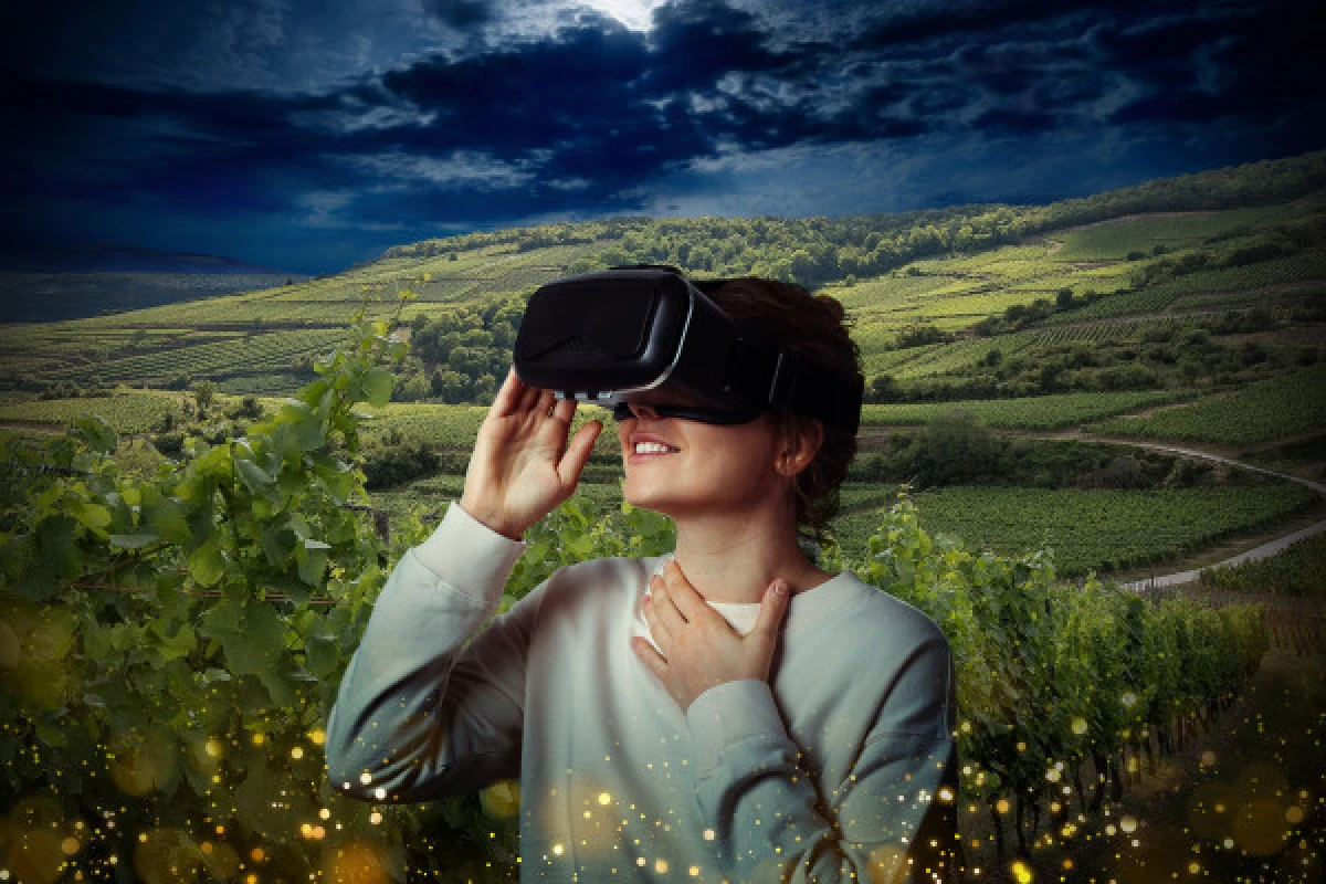 Immersion en Réalité Virtuelle 360° - Exploregion