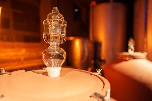 Visite de cave immersive et soirée Saint-Valentin - Exploregion