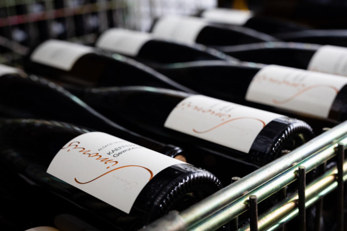 Initiation à l'art de la dégustation à Ammerschwihr - Exploregion