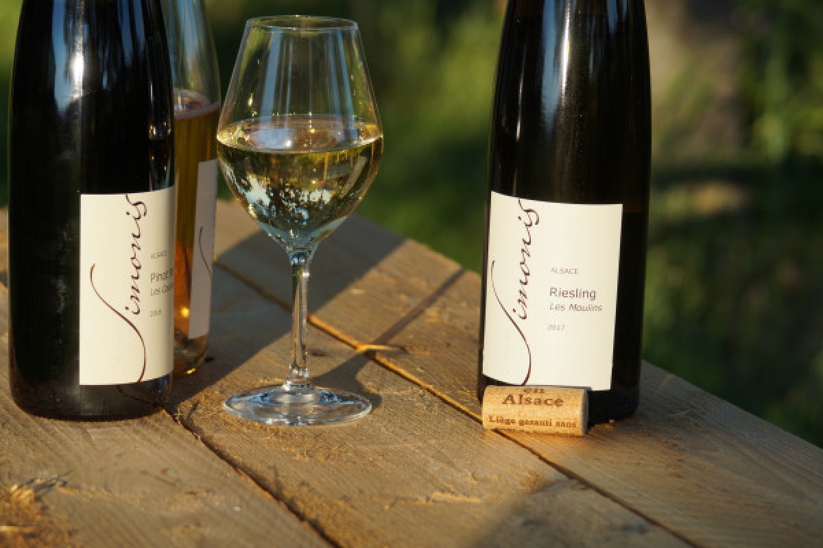 Initiation à l'art de la dégustation à Ammerschwihr - Exploregion