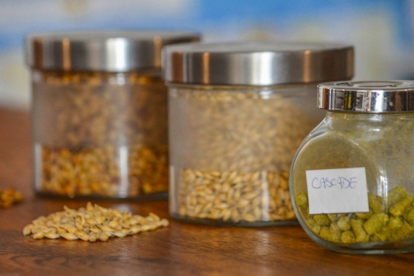 Initiation à la dégustation (et découverte du brassage) - Exploregion