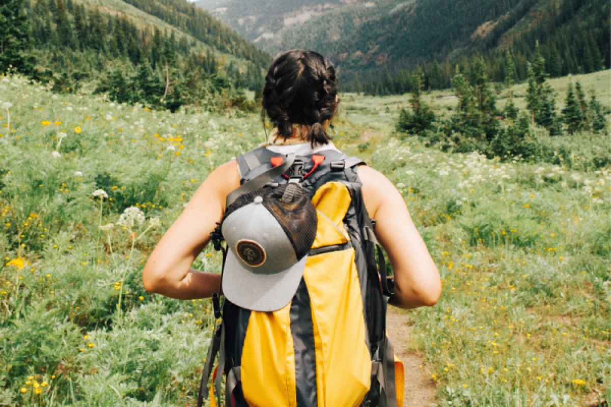 Joyaux des Vosges - Exploregion