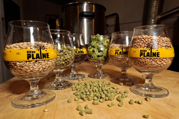 Journée de brassage - Exploregion