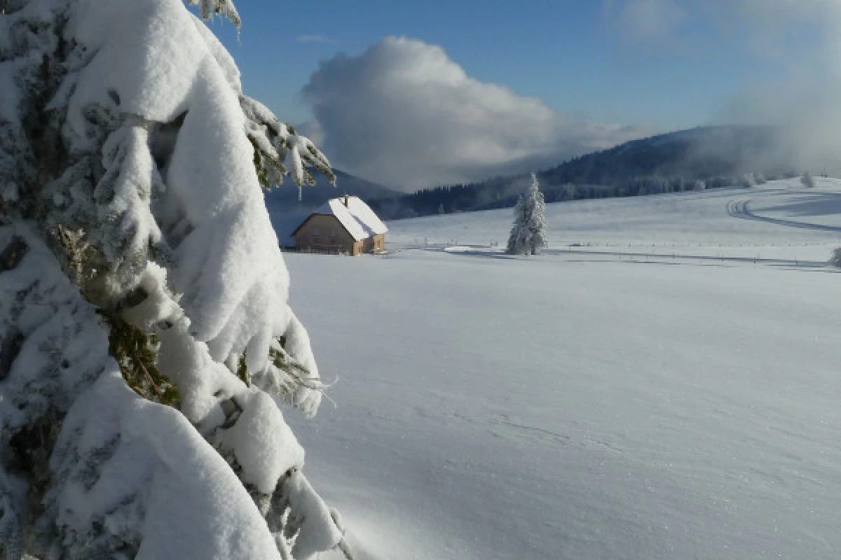 Journée en raquettes à neige - Exploregion