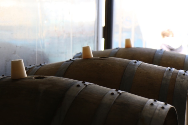 L'Immersion : Secrets de Fûts - Exploregion