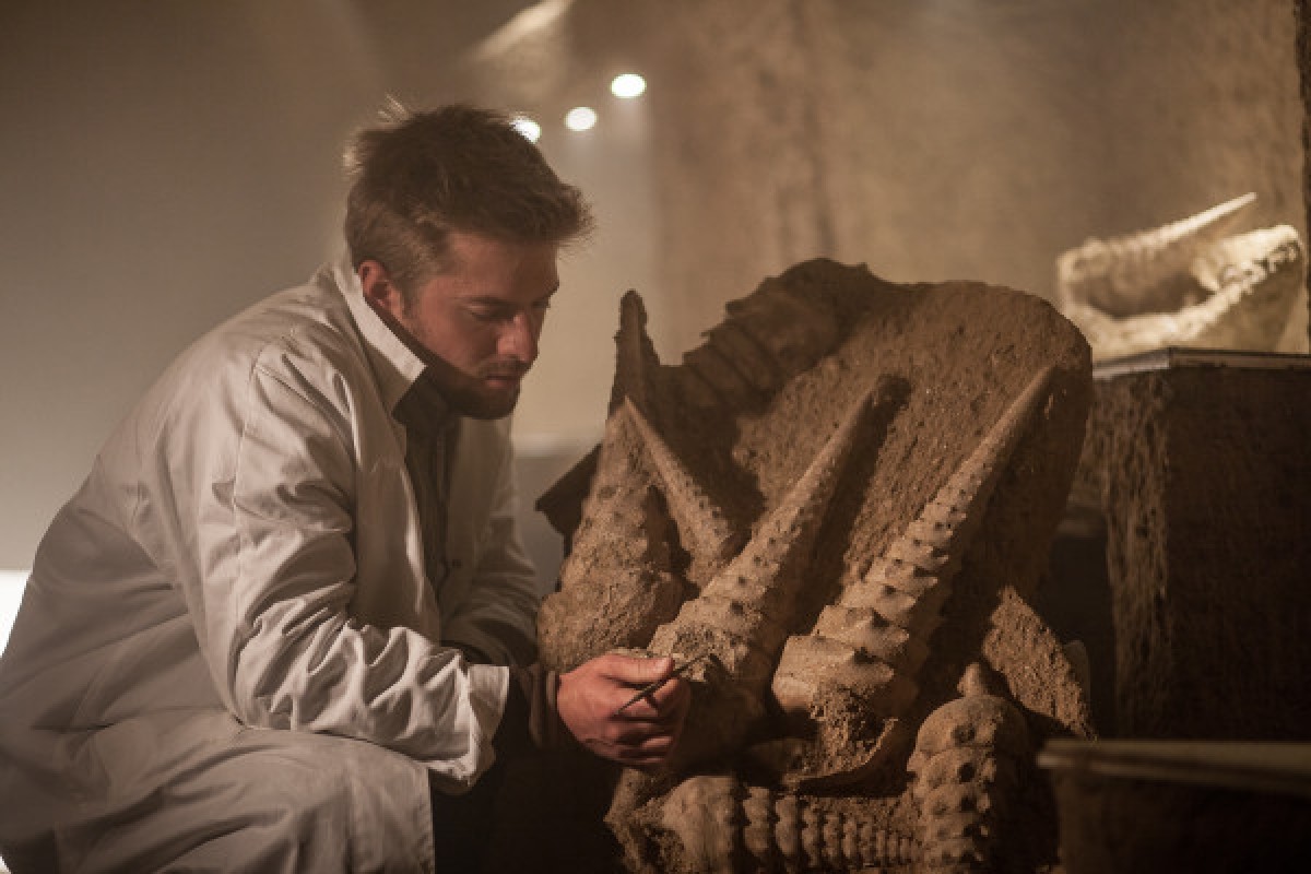 La Cave aux Coquillages, la cave la plus insolite de Champagne - Exploregion