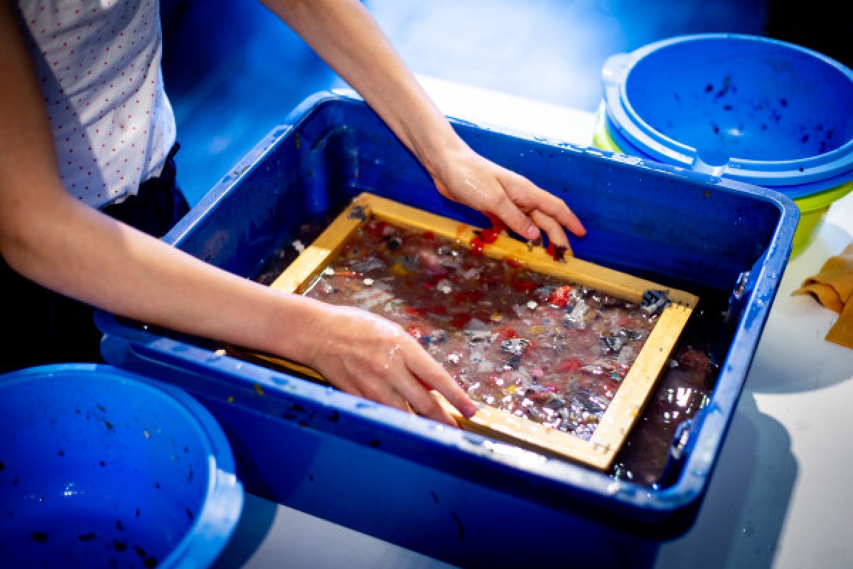 Let's make paper! - Exploregion