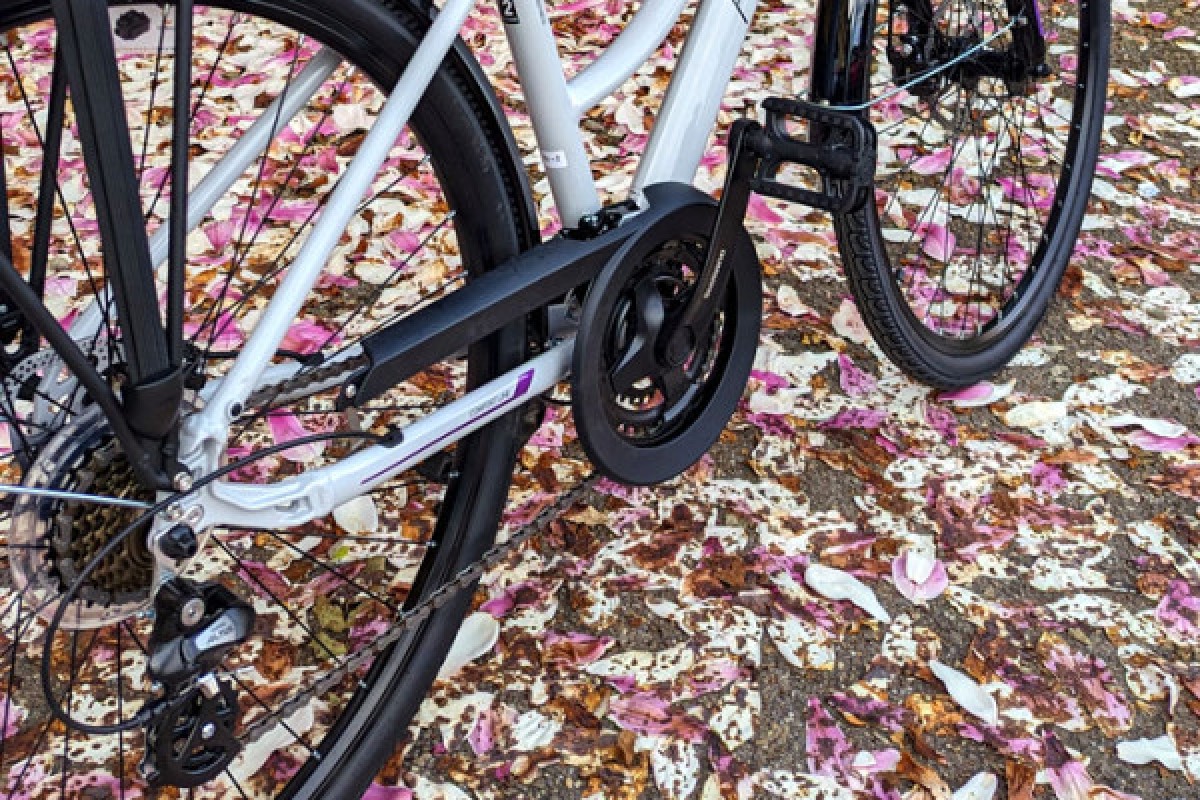 Location VTC (non-électrique) - TAILLE M/L - Exploregion