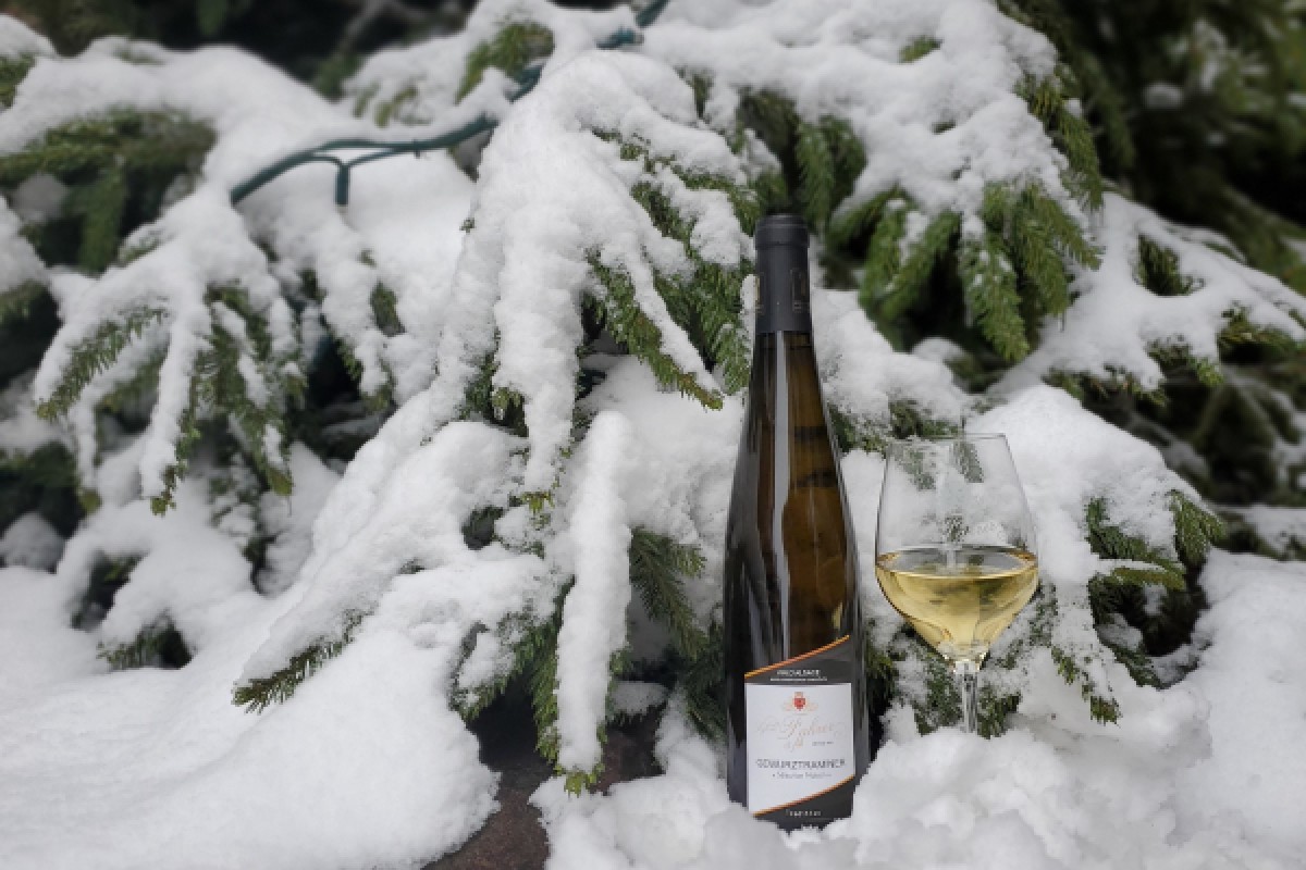 Merienda navideña. Tour y degustación - Exploregion