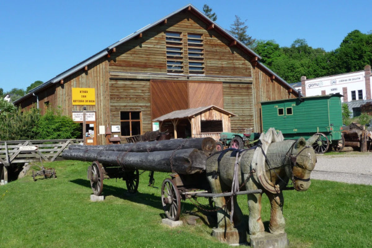 Musée des métiers du bois : Visite guidée - Exploregion