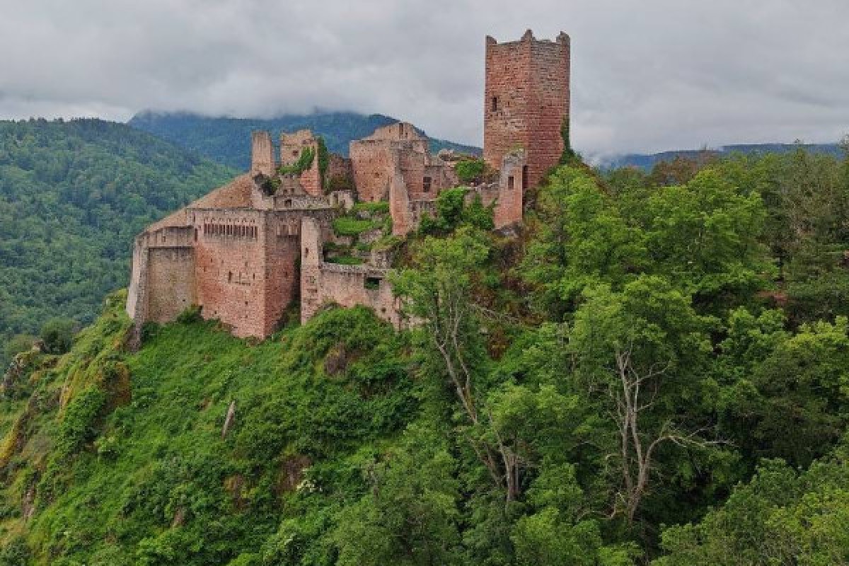 Noël en Alsace entre Traditions 3 jours - Exploregion
