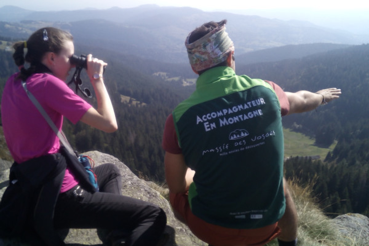 Observation chamois avec Longue-Vue - Exploregion