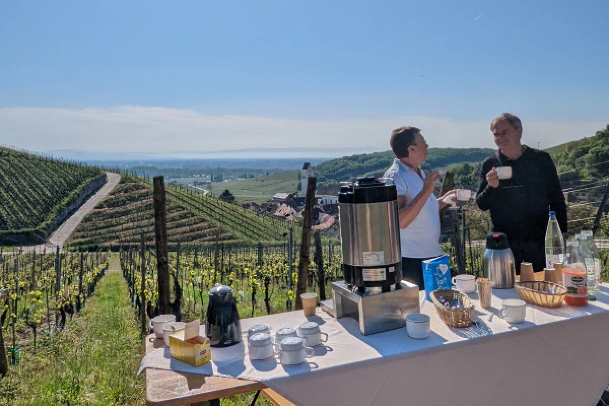 Petit déjeuner dans le vignoble alsacien - Exploregion