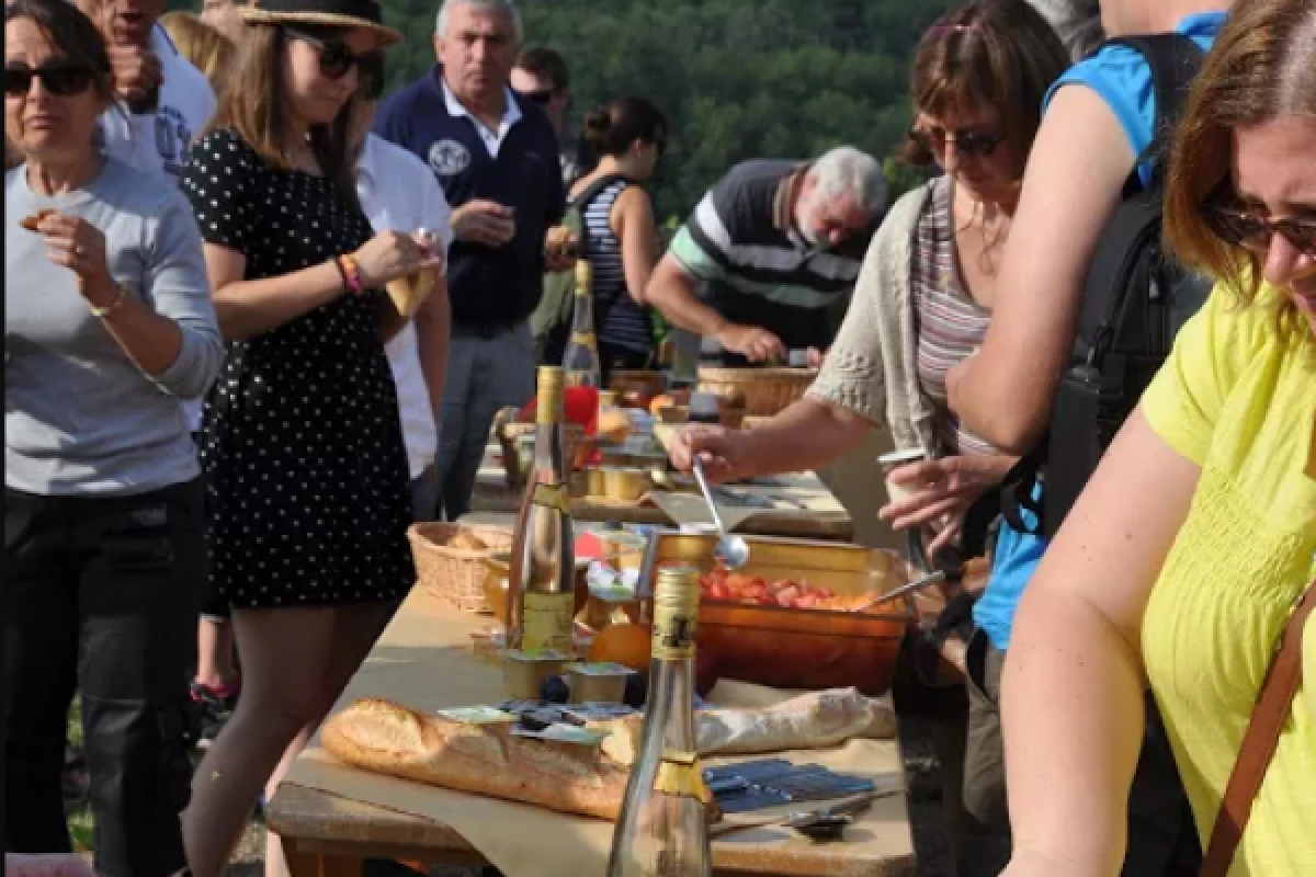 Petit déjeuner dans le vignoble alsacien - Exploregion