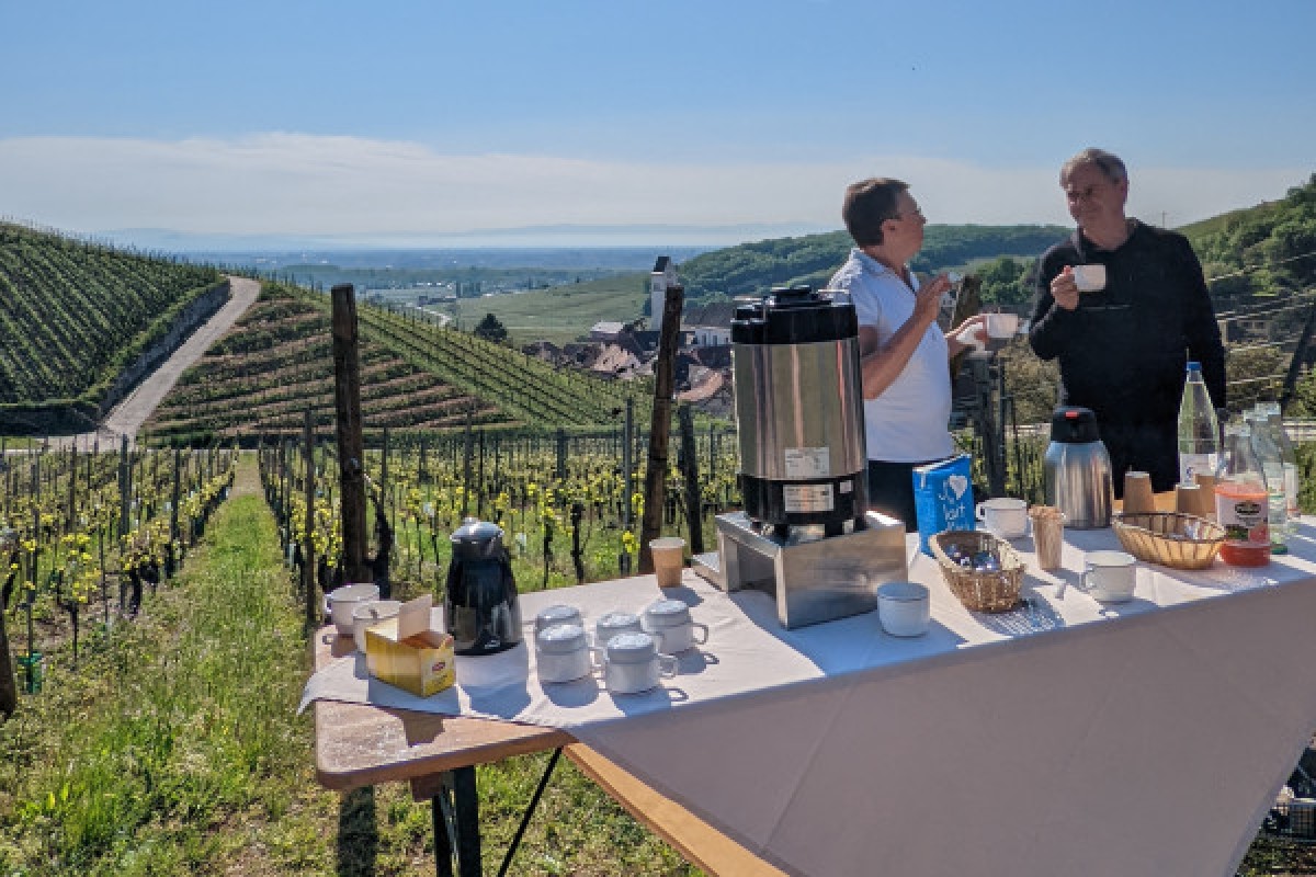 Petit déjeuner dans les Vignes ! - Exploregion