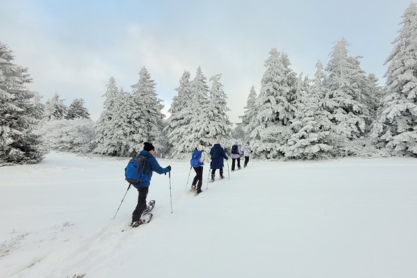 RANDO et SPA : nature et bien-être au cœur des montagnes - Exploregion