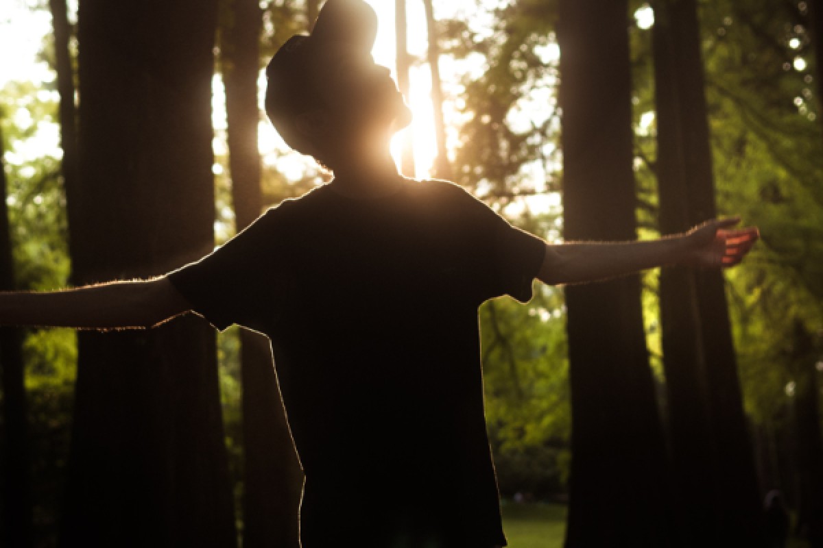 Randonnée et Qi Gong dans les Vosges - Exploregion