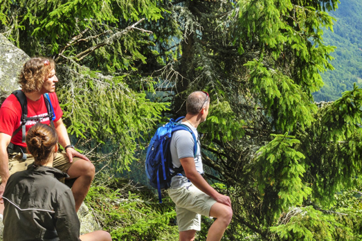 Randonnée et Qi Gong dans les Vosges - Exploregion