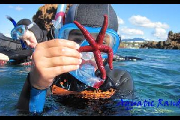 * Randonnée palmée autonome - Exploregion