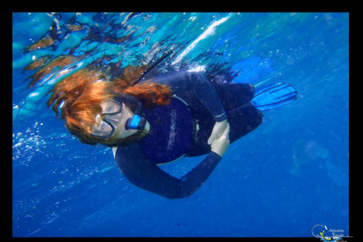 * Randonnée palmée - Exploregion