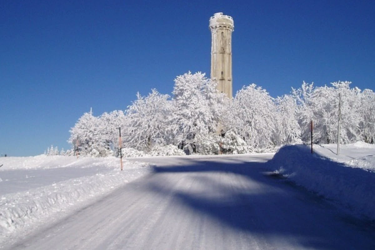 Raquettes à neige au Champ du Feu - Exploregion