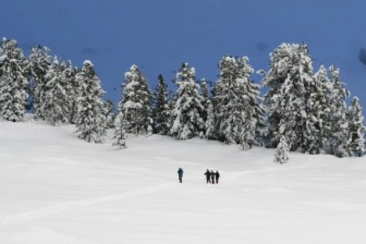 Raquettes à neige au Lac de la Lauch - Exploregion