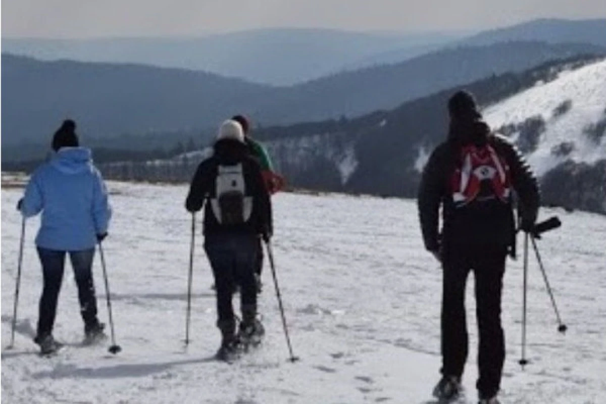 Raquettes à neige avec pique-nique - Exploregion