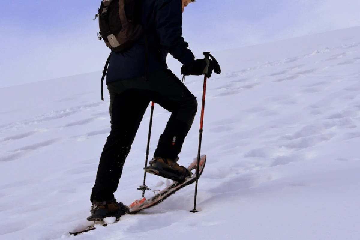 Raquettes à neige avec pique-nique - Exploregion