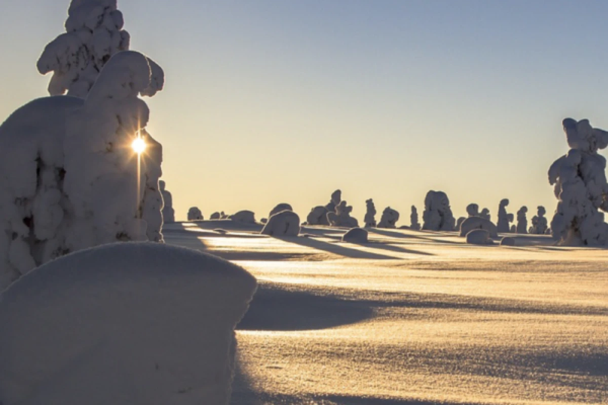 Raquettes à neige découverte du Gaschney - Exploregion