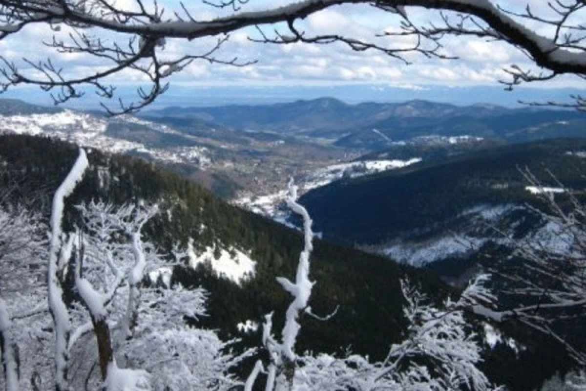 Raquettes à neige du Grand Ballon - Exploregion