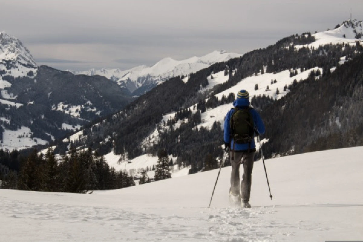 Raquettes à neige Gazon du Faing - Exploregion