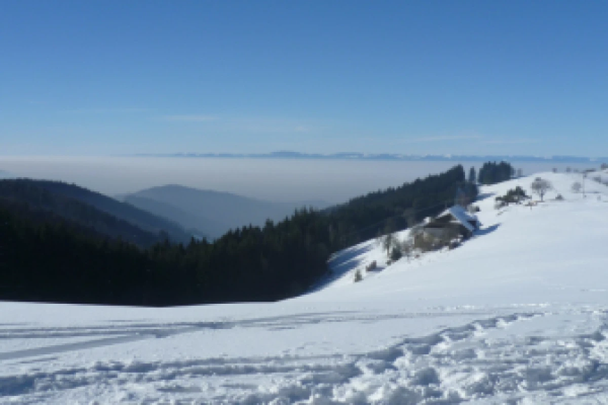 raquettes à neige privative - Exploregion