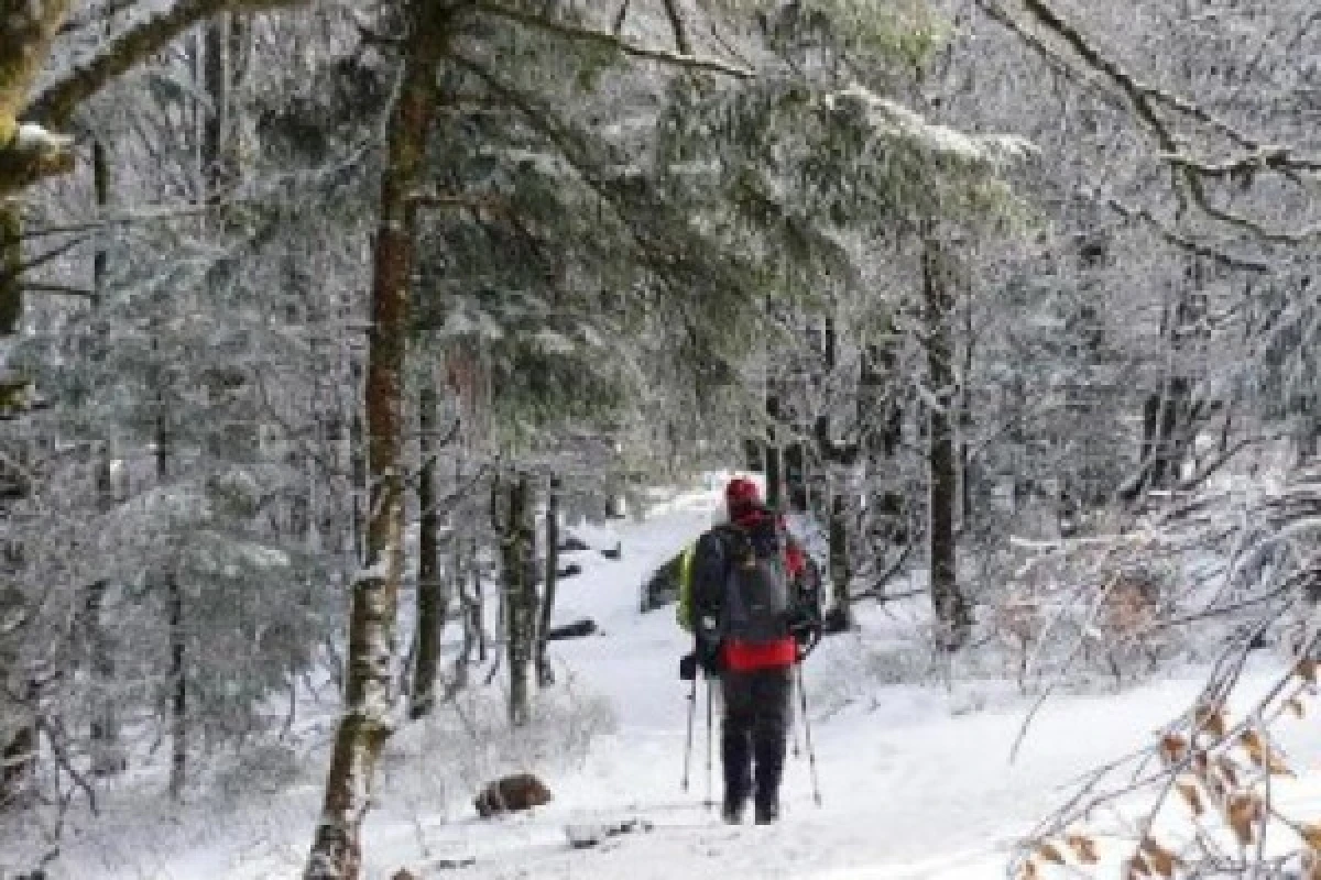 Raquettes à neige sur chaumes du Huss - Exploregion