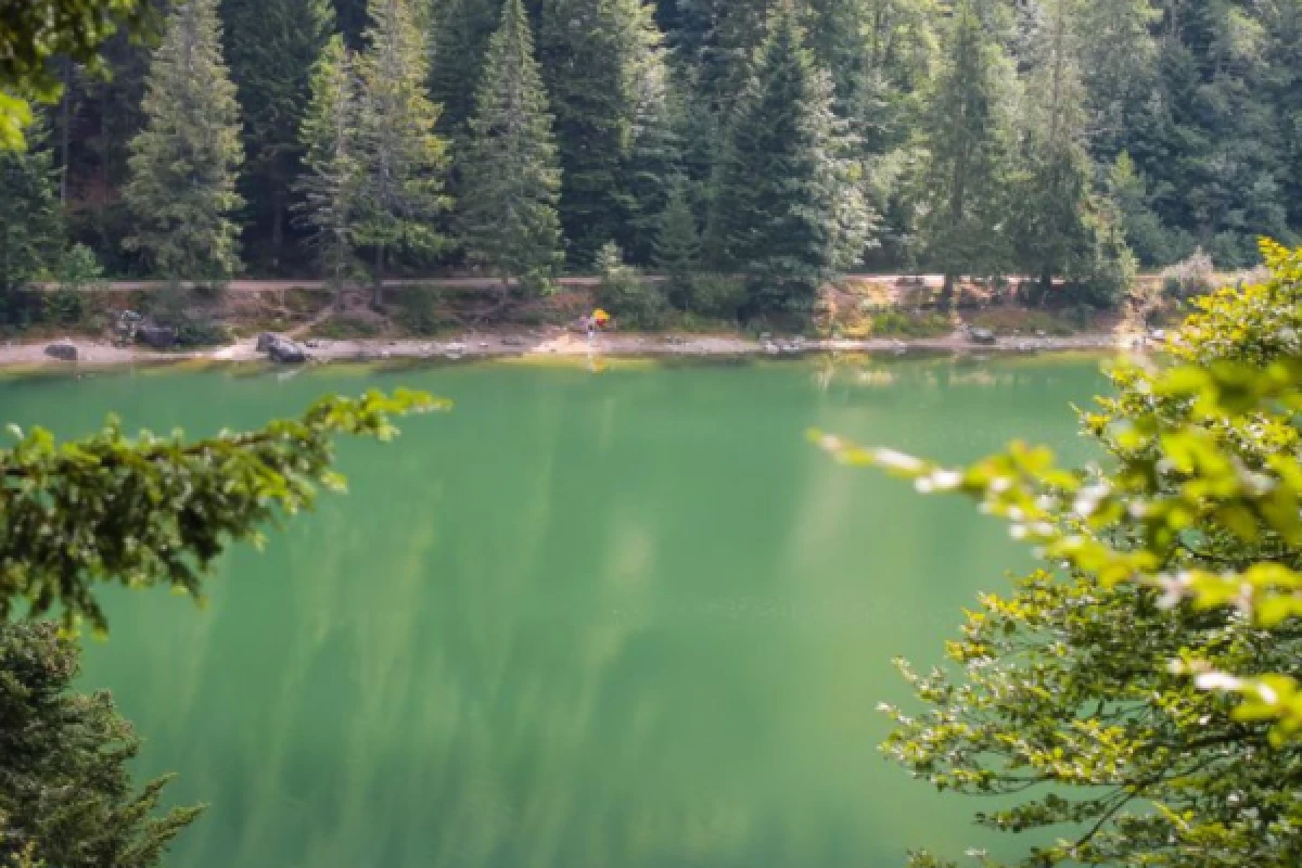 Séjour découverte Sylvothérapie dans les Vosges - Exploregion