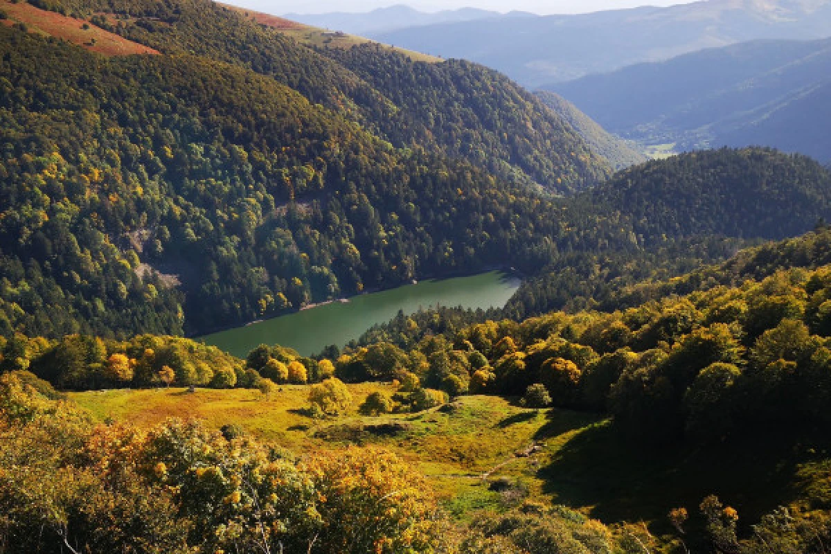 Séjour randonnée à la découverte des animaux des Vosges - Exploregion