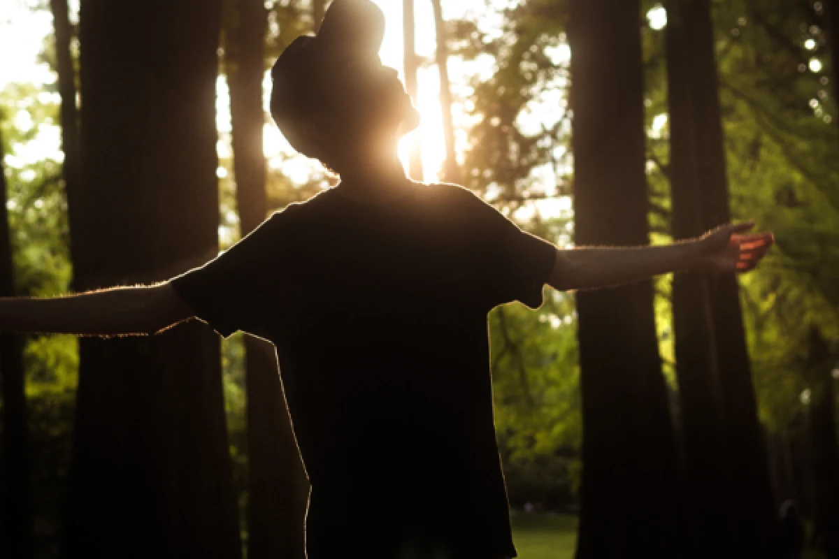 Séjour randonnée et Qi Gong dans le massif des Vosges - Exploregion