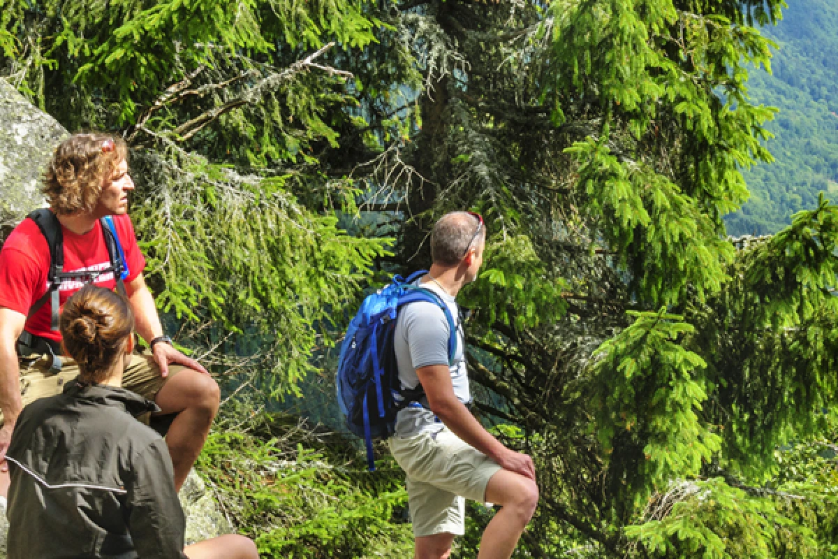 Séjour randonnée et Qi Gong dans le massif des Vosges - Exploregion