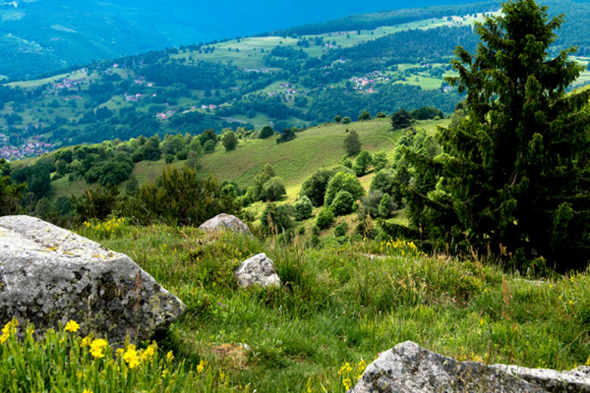 Séjour randonnée et Qi Gong dans le massif des Vosges - Exploregion