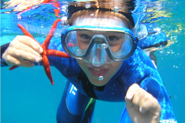 snorkeling - Exploregion