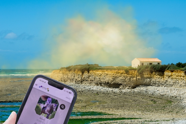 Sortilège à l'Île d'Oléron : Escape Game Outdoor thème magie - Exploregion