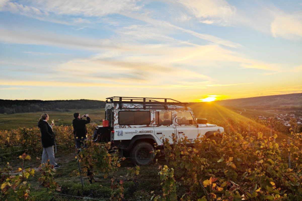 Sunset dégustation brut tradition dans les vignes 1 cru - Exploregion