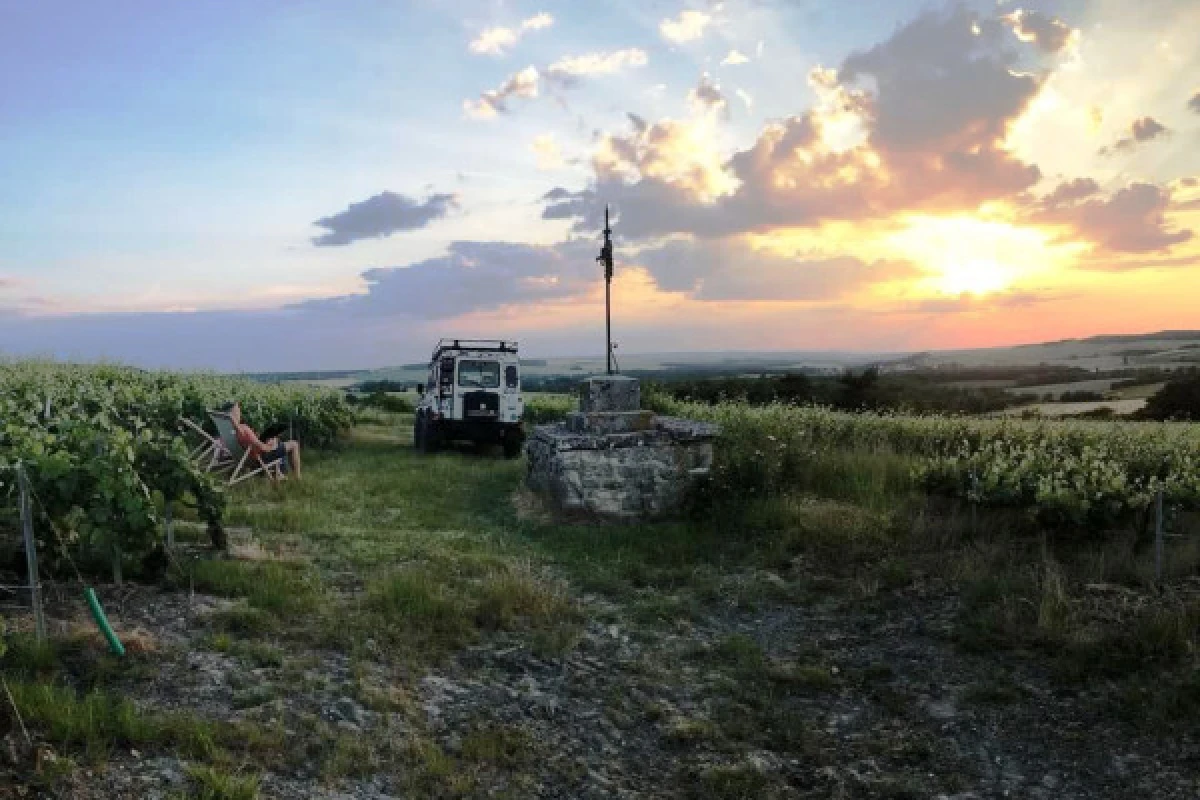 Sunset dégustation brut tradition dans les vignes 1 cru - Exploregion