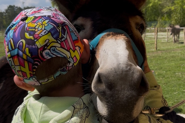 Sur Les Traces Du Pic Noir 1h30 (3 Km) - Exploregion