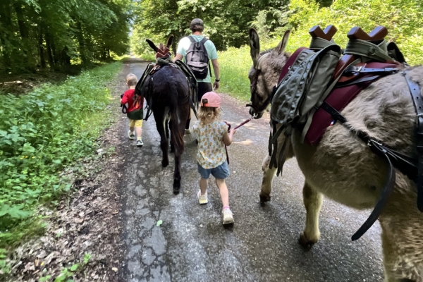 Sur Les Traces Du Pic Noir 1h30 (3 Km) - Exploregion